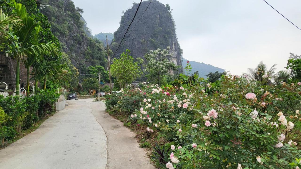 Tam Coc Eco Field Homes Ninh Binh Eksteriør bilde
